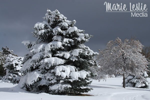 The Changing Seasons