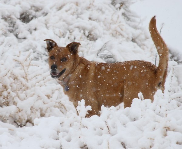 Winter Safety Tips for You and Your Family