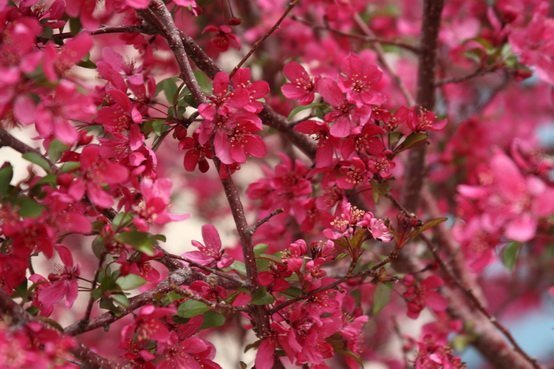Do the Spring Fling–Decluttering