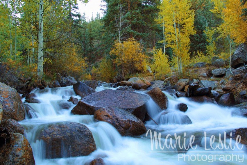 Scott Gomer Creek at Guanella Pass