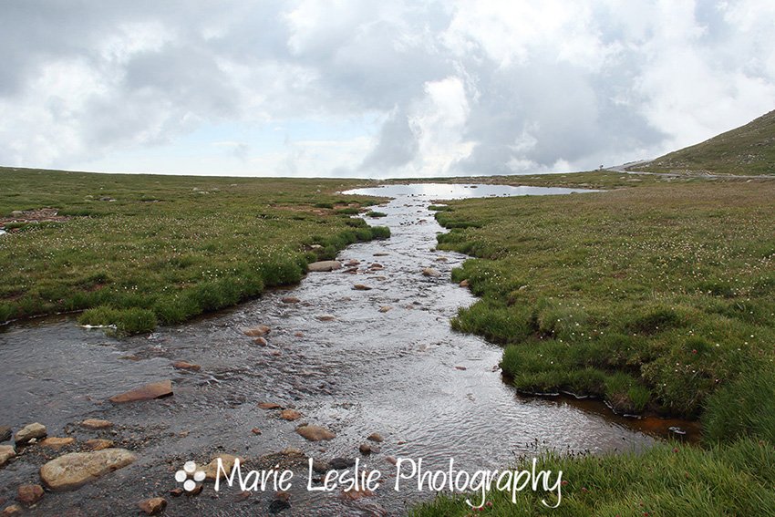 Bear Creek at Summit Lake