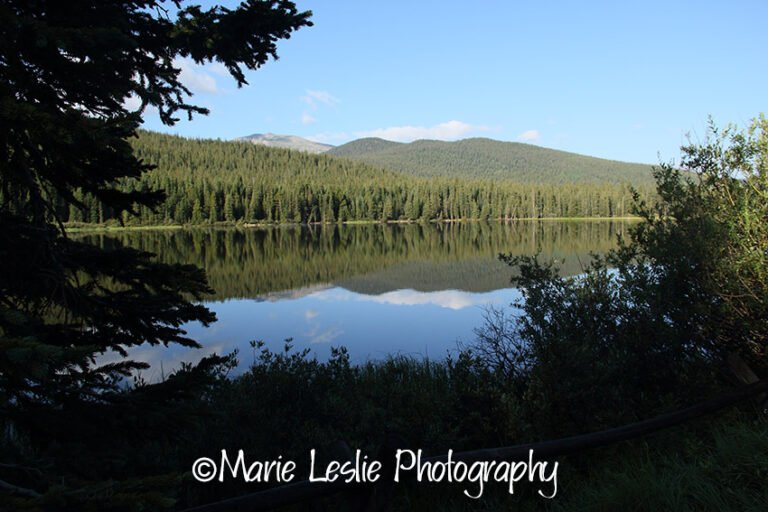 Beautiful Photography from Mt. Evans Scenic Byway