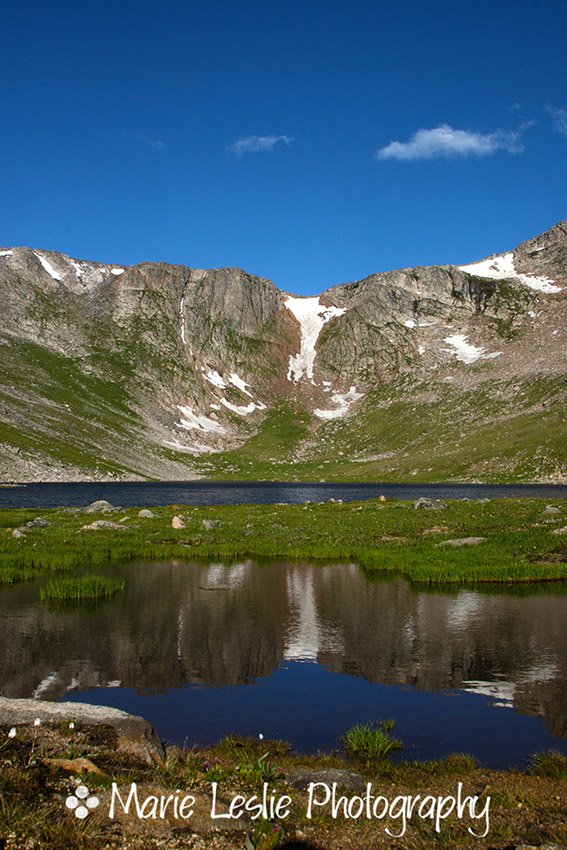 Summer at Summit Lake