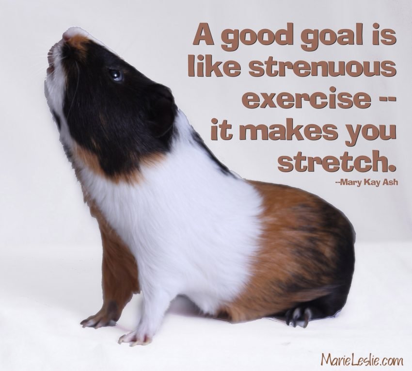 a good goal is like strenuous exercise.