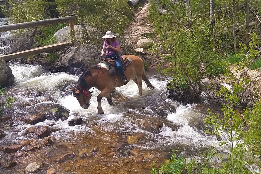 Crossing Fern Creek