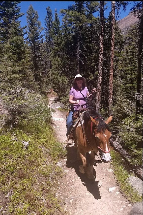 Riding Horses in Rocky Mountain