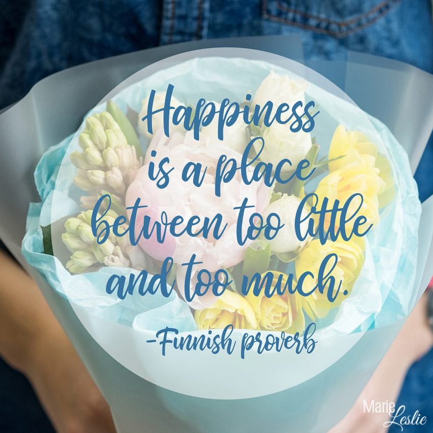Happiness is a place between too little and too much. -Finnish Proverb