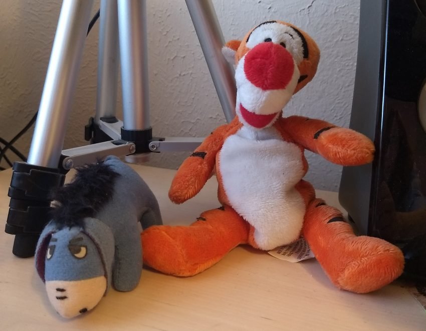 Eeyore and Tigger