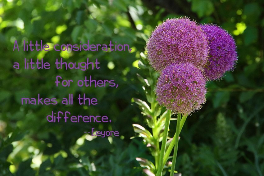 A little consideration, a little thought for others, makes all the difference. --Eeyore