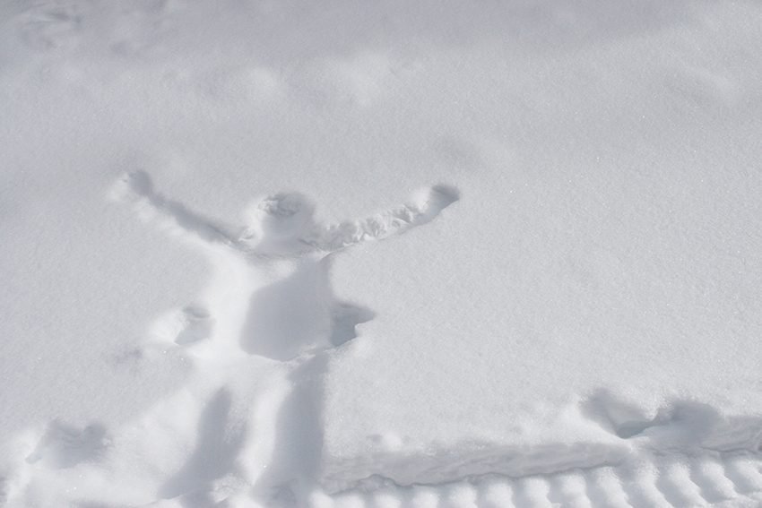 snow angel