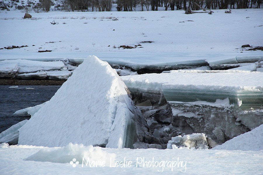 Ice Floe on the Gunnison River