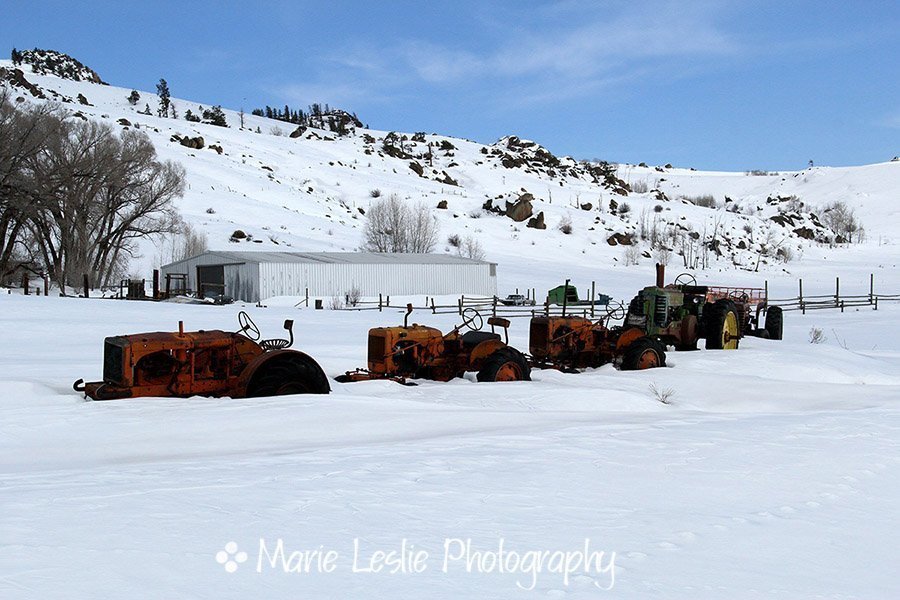 Tractors in Snow