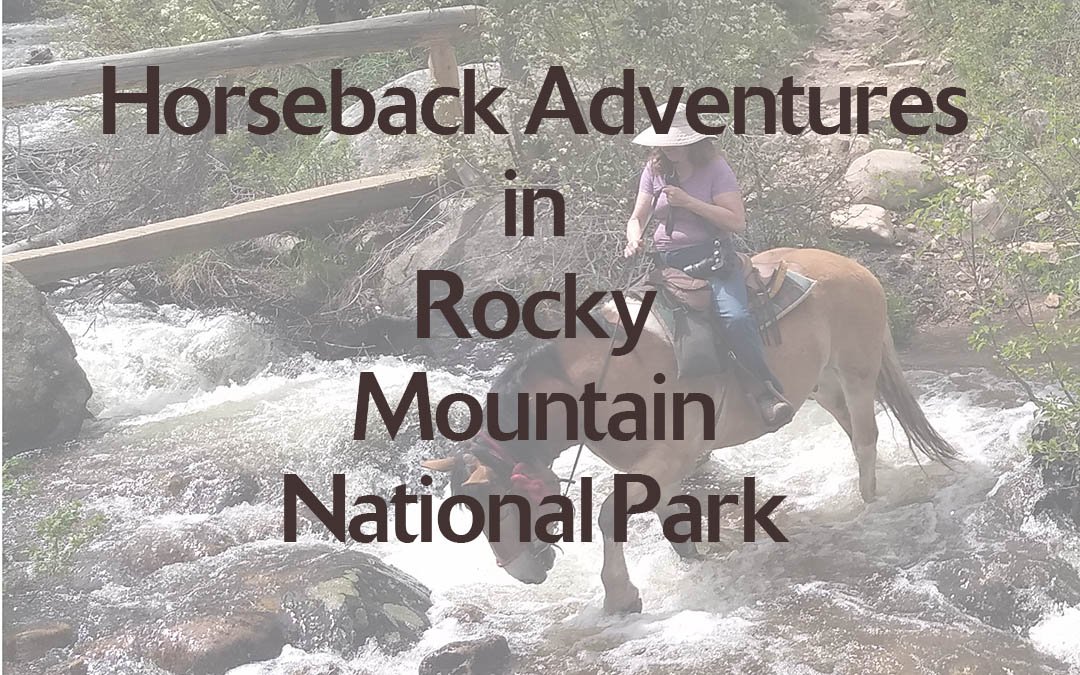 Horseback Adventures in Rocky Mountain National Park