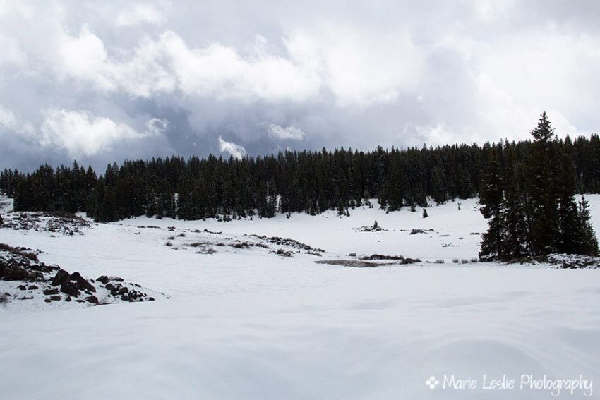 At the top of the Grand Mesa: 10,384 feet.