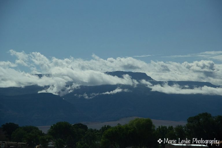 First Day Of Summer On Colorado’s Grand Mesa