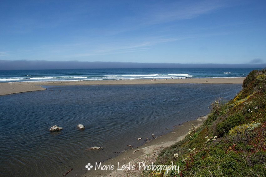Bodega Bay