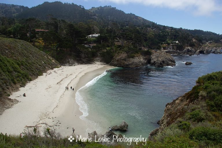 Point Lobos State Reserve–A Photographer’s Paradise