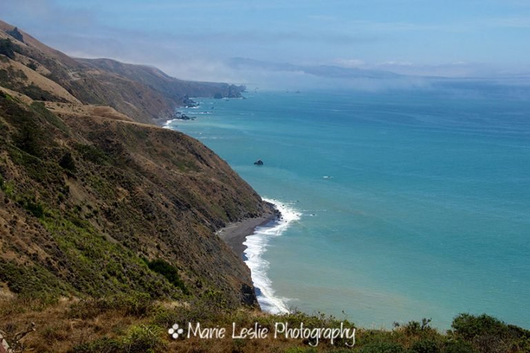 Photography Favorites from the Most Scenic Drive in America