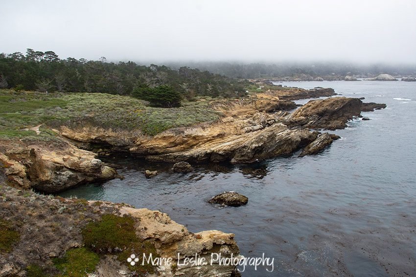 Peaceful Point Lobos
