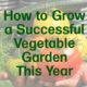 How to Grow a Successful Vegetable Garden This Year