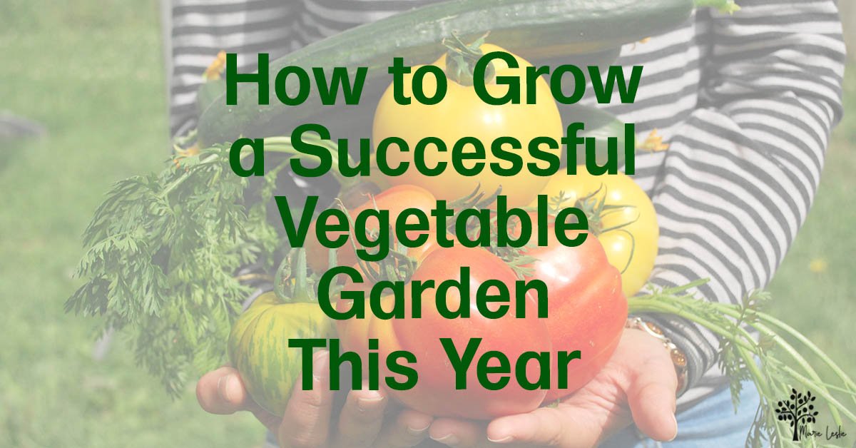 How to Grow a Successful Vegetable Garden This Year