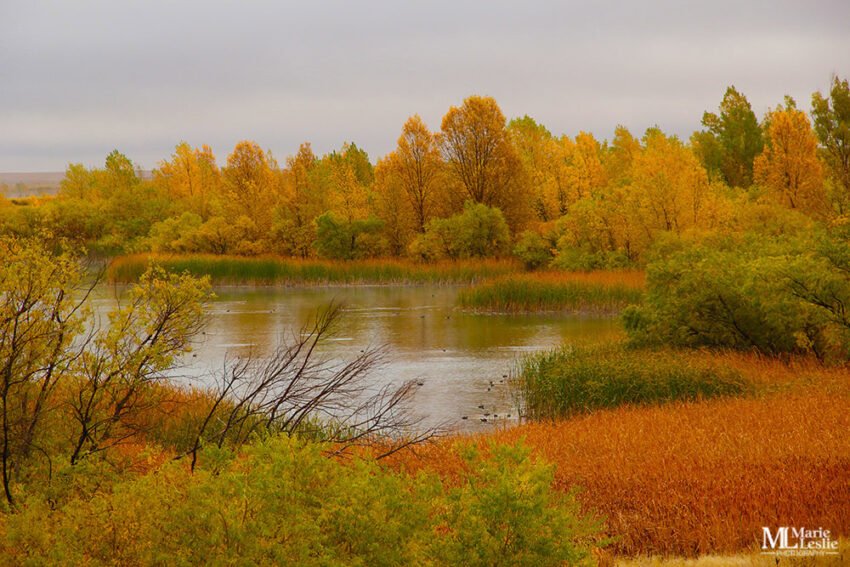 Autumn Cove