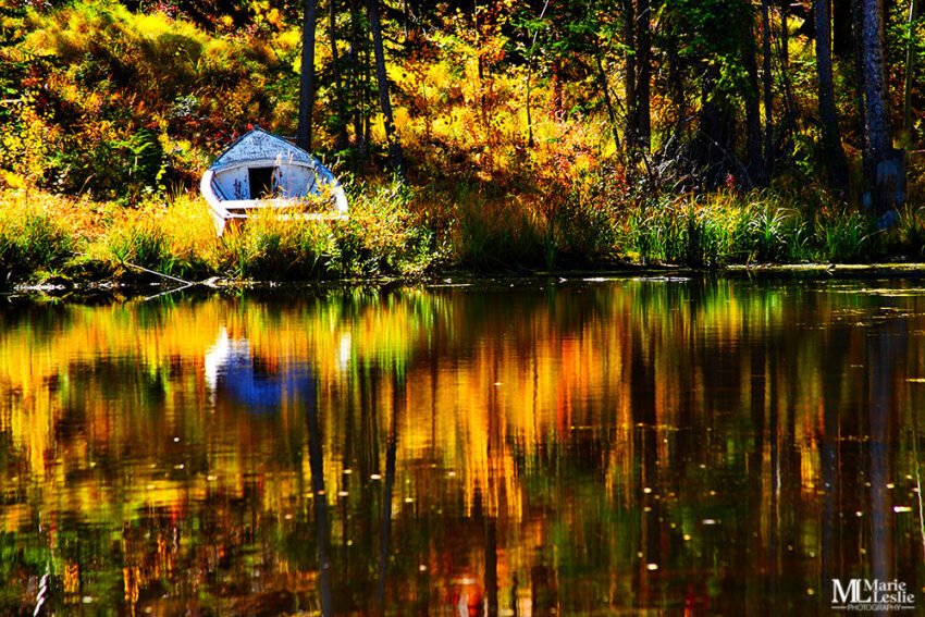 Autumn Pond