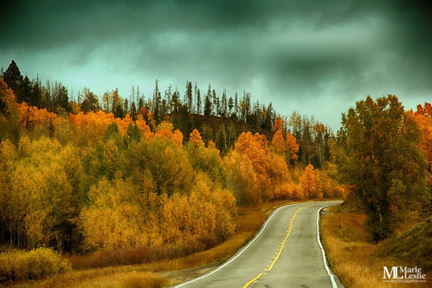 Stunning Fall Photography