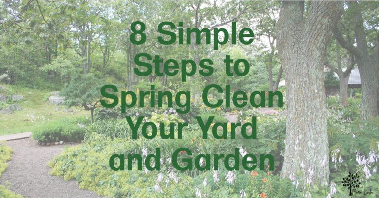 8 Simple Steps to Spring Clean Your Yard and Garden